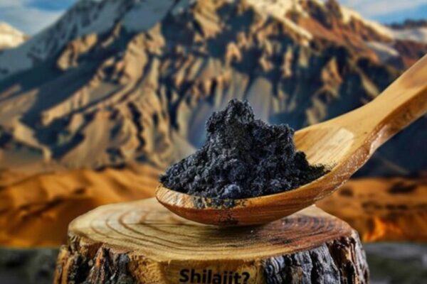 Authentic Shilajit